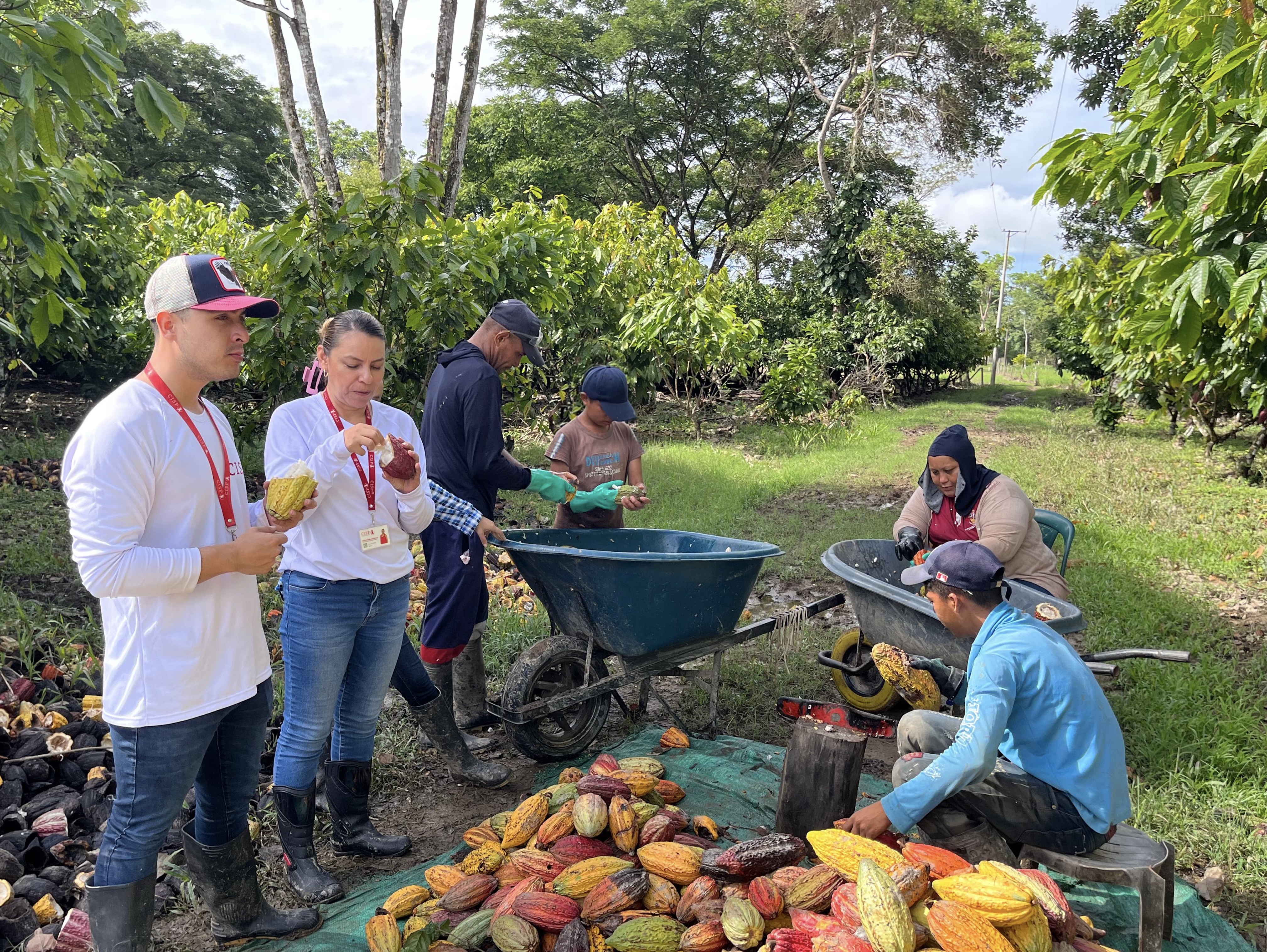 Sala de prensa Agrocadenas