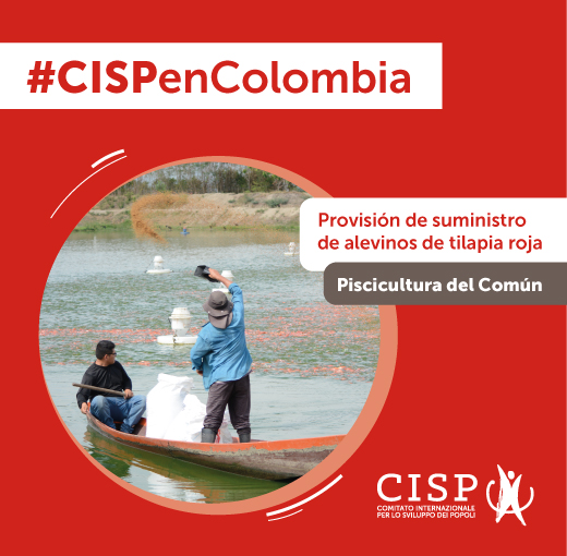 Provisión de suministros de alevinos - Convocatoria Cerrada