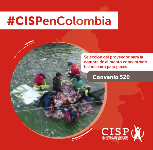 Compra de alimento concentrado balanceado para peces