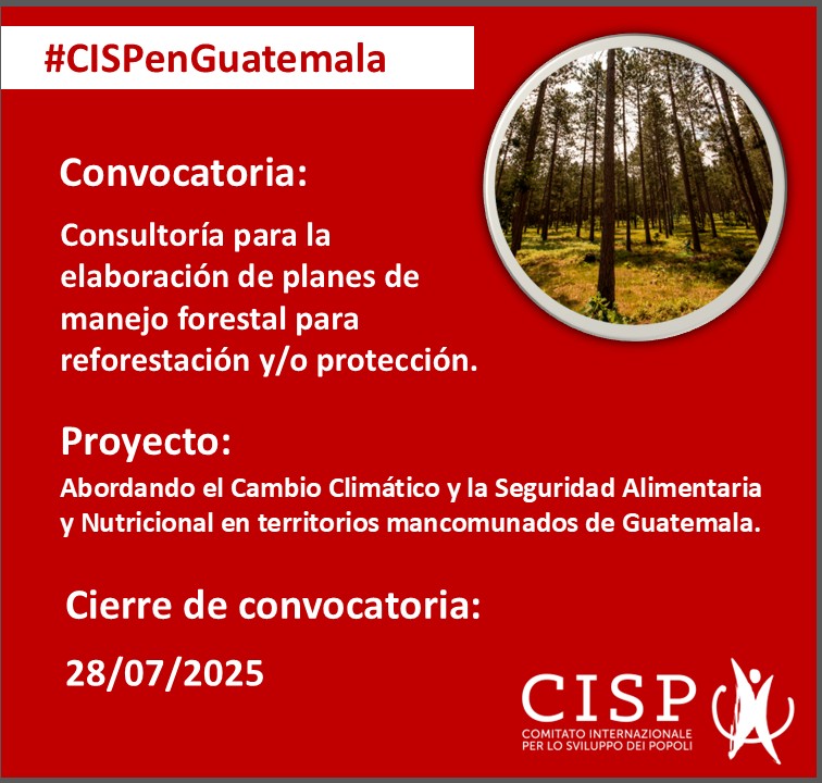 Consultoría Elaboración planes de manejo forestal para reforestación